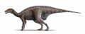 Iguanodon-Mantellisaurus atherfieldensis-Dinosaure.jpg
