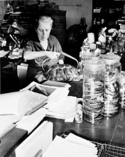 comment devenir zoologiste au quebec