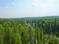 Taiga (Russia), boreal forest-Taïga (Russie), forêt boréale.jpg