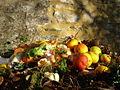 Compost-début-8367.jpg