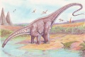 Brontosaure-Apatosaure-Dinosaures.jpg