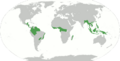 Forêts tropicales-forets-localisation.png