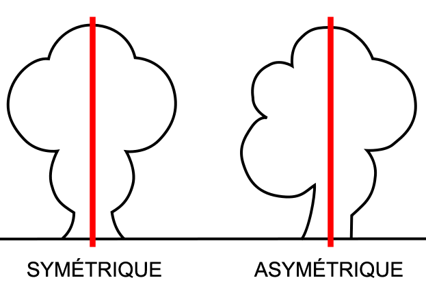 File:Symétrie-Asymétrie.png - Wikimini Stock