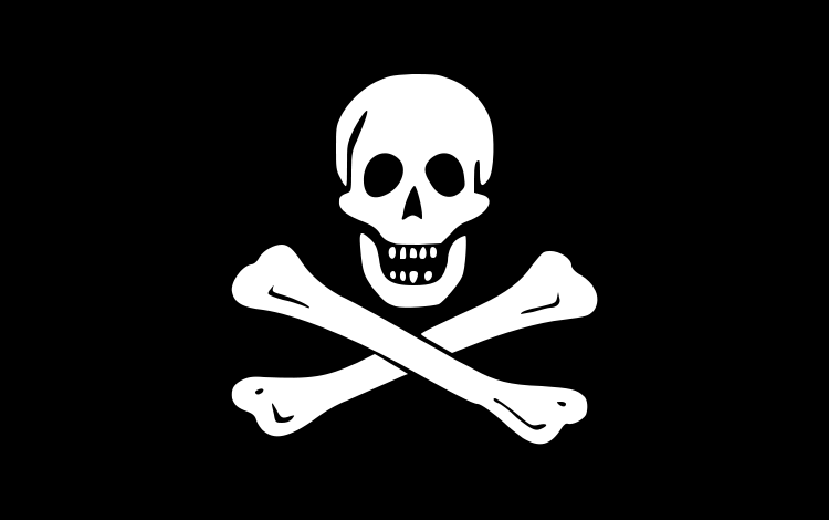 Drapeau TÊTE DE MORT - Pirate Big - Rock A Gogo