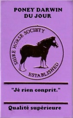 Fil:Poney du jour.jpg