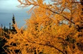 Thumbnail for version as of 00:35, 14 May 2013