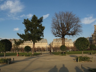 Fil:Les arbres-2764.jpg