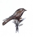 Thumbnail for version as of 15:31, 29 March 2010