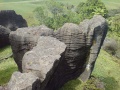 Rocher de calcaire (Nouvelle-Zélande).jpg