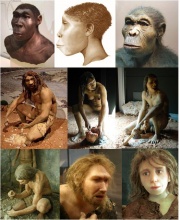 recherche sur les hommes préhistoriques