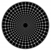 Optiska illusioner