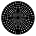 Illusion d'optique-ronds blancs-ronds noirs.png