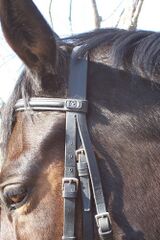 File:Bridle.jpg