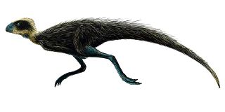 Fil:Pisanosaure-Pisanosaurus.jpg