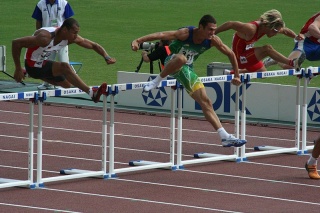 Fil:Course de haies.jpg