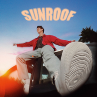 Nicky Youre - Sunroof.png