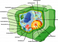 Thumbnail for version as of 10:55, 7 May 2013