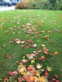 Thumbnail for version as of 12:49, 25 October 2013