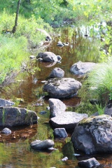 File:Sjö.jpg