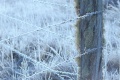 Thumbnail for version as of 23:44, 21 January 2012