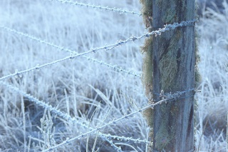 File:Invernal-3457.jpg