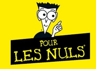 File:Pour les nuls logo.jpg