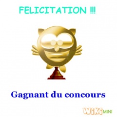 Gagnant concours wikimini.jpg