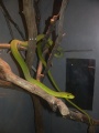 Thumbnail for version as of 19:53, 2 January 2012