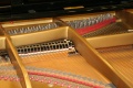 Piano-2343.jpg