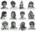Peuples indigènes d'Amérique du Sud-Amérindiens.jpg