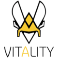 Team Vitality - Logo 2018-2020.png