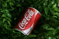 Canette de Coca-Cola-1066.jpg
