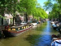 Canaux d'Amsterdam-6136.jpg