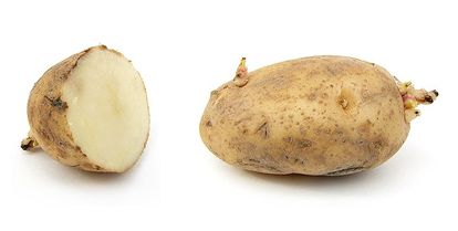 Pomme de terre-patate-tubercule.jpg