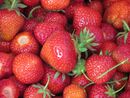 Fraise-3650.jpg