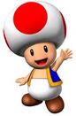 Toad wikimini.jpg
