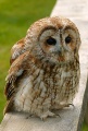 Thumbnail for version as of 16:44, 7 May 2009