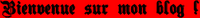 Bienvenue sur mon blog.png