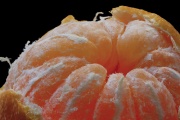 Clémentine Fruit-3311.jpg