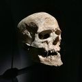 600px-Crâne de l%u2019Homme de Cro-Magnon.jpg