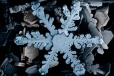 Cristal de glace dans flocon de neige-Microscope électronique.jpg