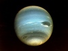Neptune1-3893.jpg