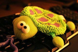 File:Tortue-7269.jpg