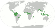 Forêts tropicales-forets-localisation.png