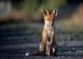 Vignette pour la version du 17 décembre 2013 à 11:43