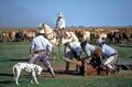 Gauchos en Argentine.jpg