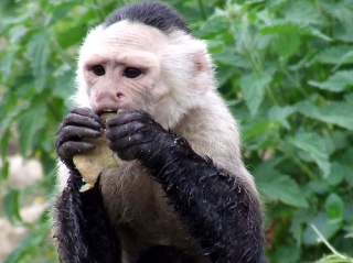 File:Lunchtime!-1093.jpg