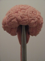 Fil:Cerveau-1329.jpg