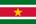 Drapeau-Suriname.png