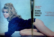 Behind Brigitte Bardot-4216.jpg